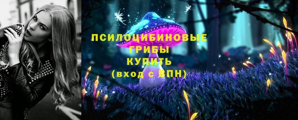 соль ск Киреевск